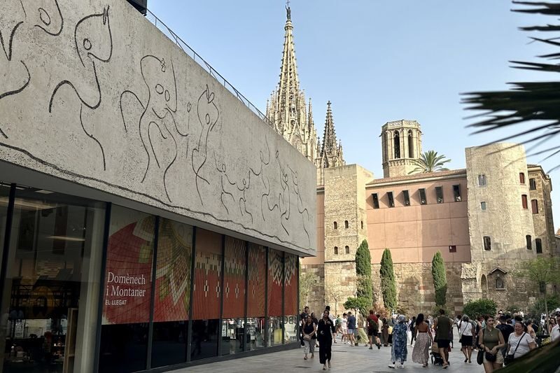 Barcelona and Picasso Museum Guided Tour - Who will enjoy this tour most?