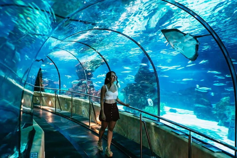 Barcelona Aquarium: Entry Ticket - Highlights of the Experience