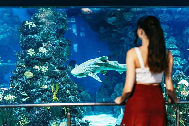 Barcelona Aquarium: Entry Ticket - Value for Money