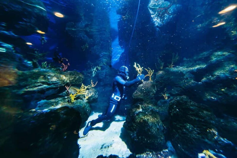 Barcelona Aquarium: Entry Ticket - Who Should Visit?