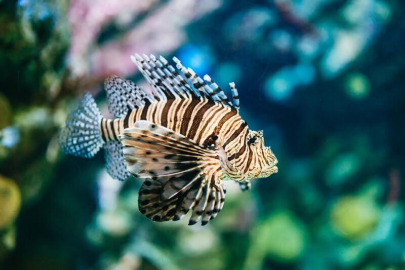 Barcelona Aquarium: Entry Ticket - Final Thoughts