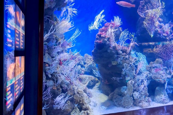 Barcelona Aquarium Flexible Skip the Line Access Entry Ticket - Additional Information