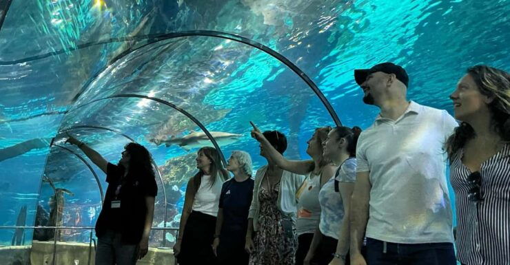 Barcelona Aquarium: Guided Tour With Exclusive Early Access - Good To Know