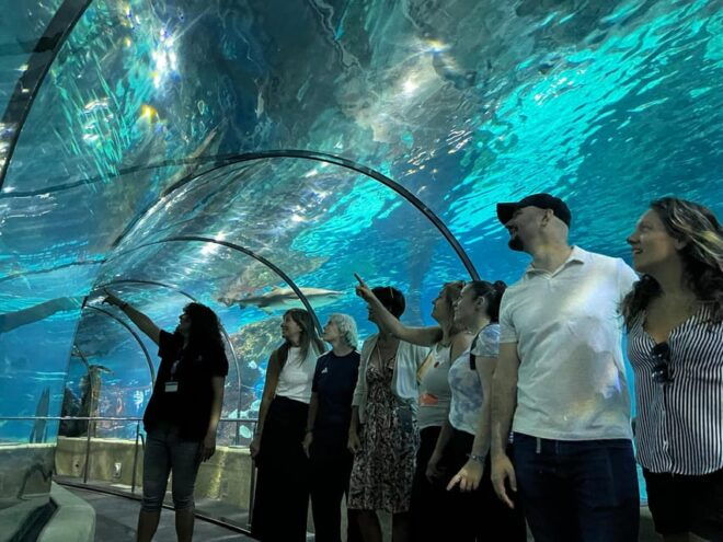 Barcelona Aquarium: Guided Tour With Exclusive Early Access - Marine Species and Exhibits