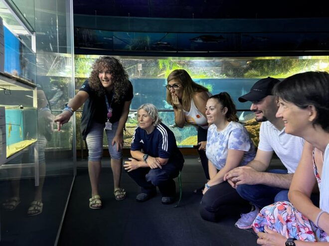 Barcelona Aquarium: Guided Tour With Exclusive Early Access - Exclusive Early Access
