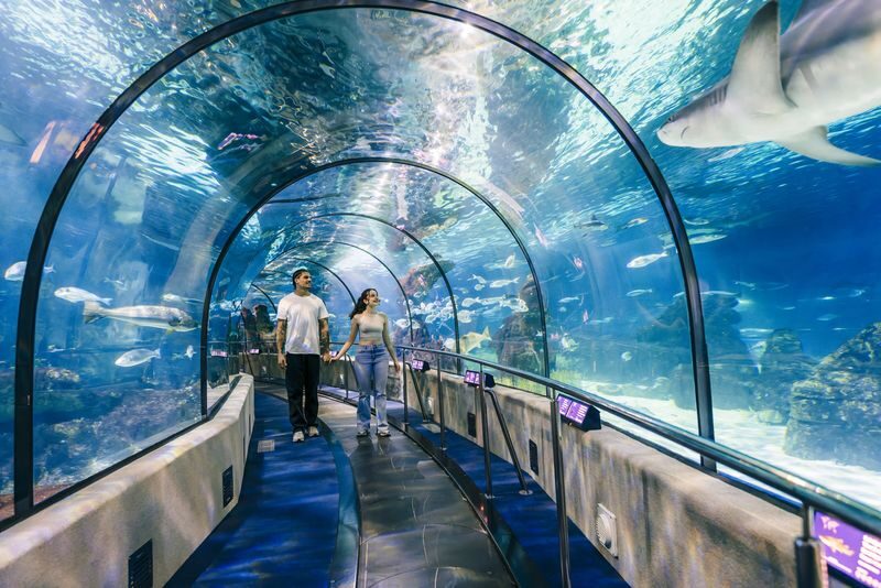 Barcelona Aquarium Ticket - Start with the digital sea
