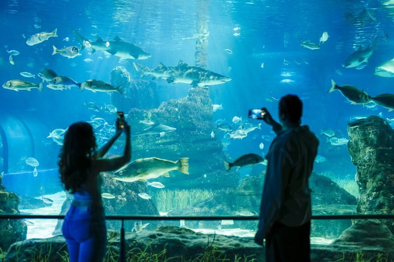 Barcelona Aquarium Ticket - Follow the Mediterranean habitats