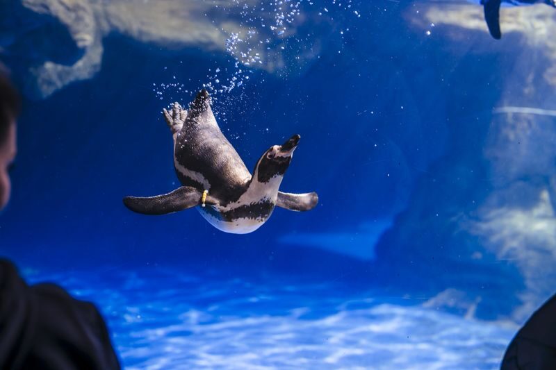 Barcelona Aquarium Ticket - Give children room to explore
