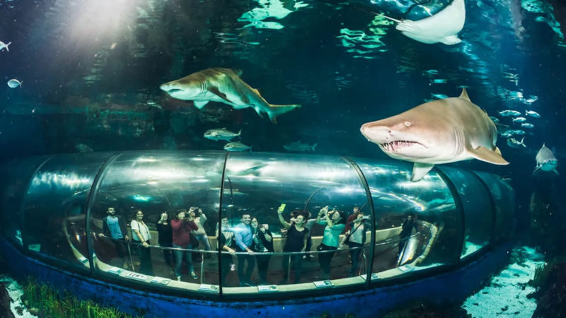 Barcelona Aquarium Ticket - Make Port Vell part of the plan