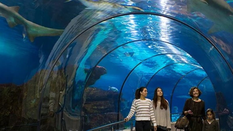Barcelona Aquarium Ticket - Is Barcelona Aquarium worth booking?