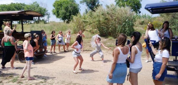 Barcelona: Beer Bike Experience - Important Directions