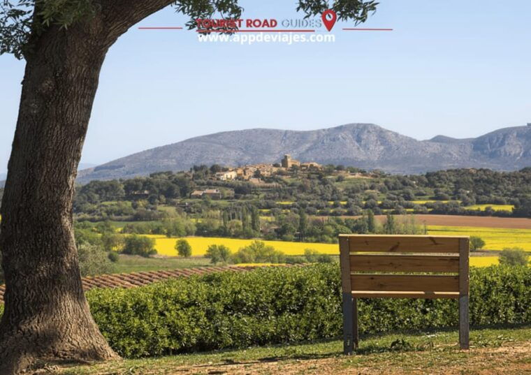 Barcelona: Besalú, Figueres, and Girona Day Trip With Lunch - Tour Inclusions