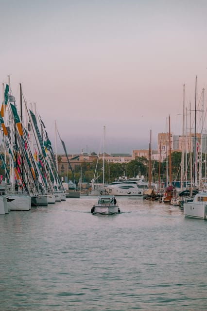 Barcelona by Air and Sea: Montjuic, Cable Car, Beach and Catamaran. - Montjuic: Ascent and Panoramic Views