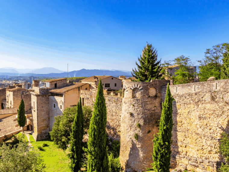 Barcelona: Carcassonne & Girona Tour - Whats Included