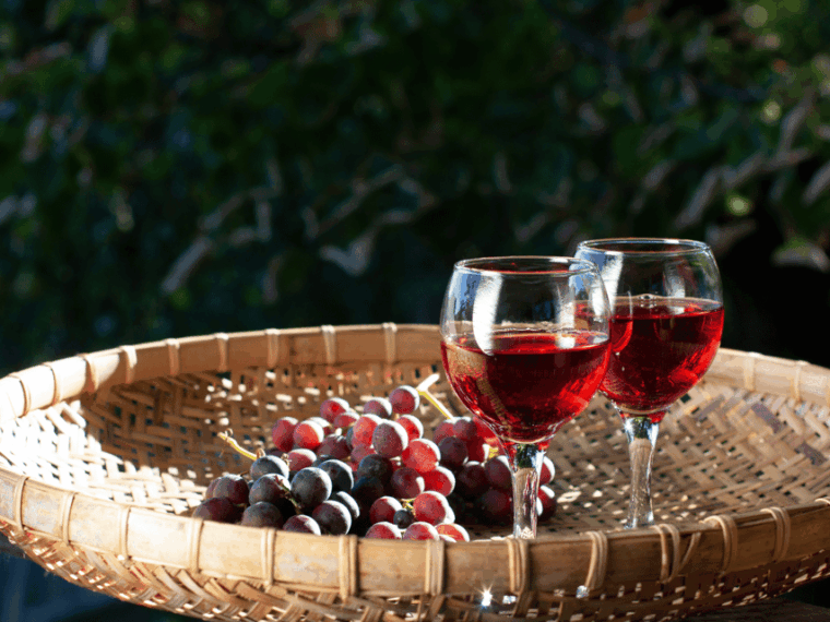 Barcelona: Carcassonne & Girona Tour - Preparation and Recommendations