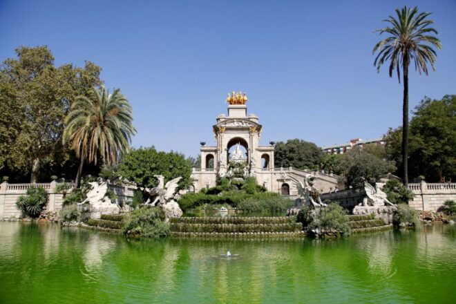 Barcelona Card: 25 Museums and Free Public Transportation - Customer Reviews and Feedback