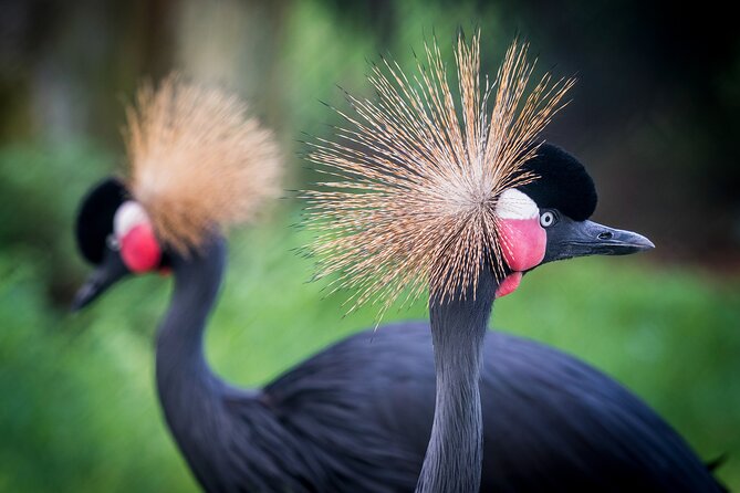 Barcelona Card: Museums Transport for 72h, 96h or 120h - The Sum Up