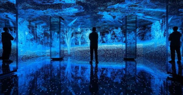 Barcelona: Casa Batllo The Cube Experience Entry Ticket - Important Considerations