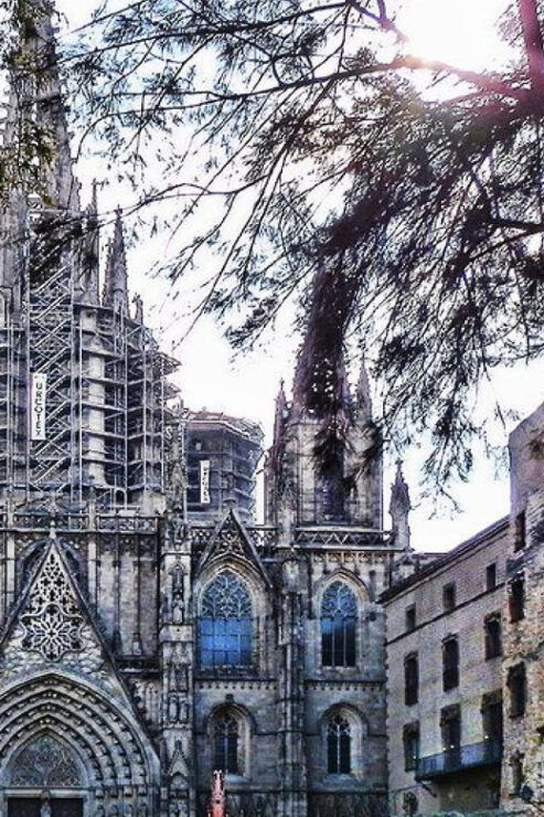 Barcelona Cathedral: Exclusive Walking Tour & Entry Tickets. - Tour Experience and Highlights
