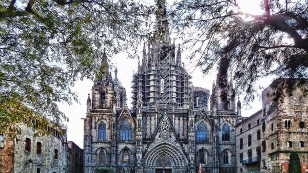 Barcelona Cathedral: Exclusive Walking Tour & Entry Tickets. - Small Group Exploration