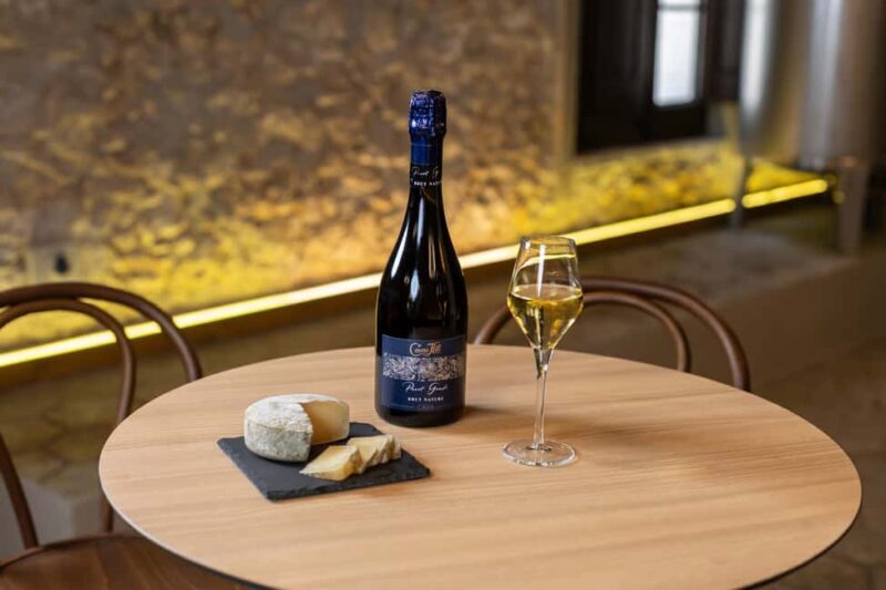 Barcelona: Cavas Hill - Winery Tour & Cheese Tasting - Inside the Historic Cellars: A Journey into Tradition