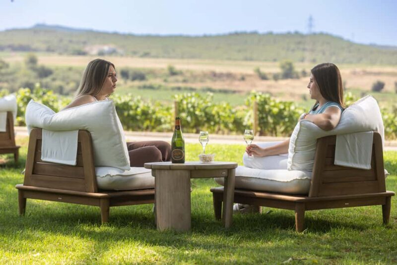 Barcelona: Cavas Hill - Winery Tour & Cheese Tasting - The Tasting Experience: Cheese and Cava Pairings