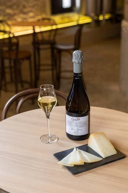 Barcelona: Cavas Hill - Winery Tour & Cheese Tasting - Who Should Consider This Tour?