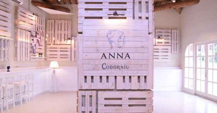 Barcelona: Caves Codorniu Winery Tour Based on Anna's Life - Experience Highlights