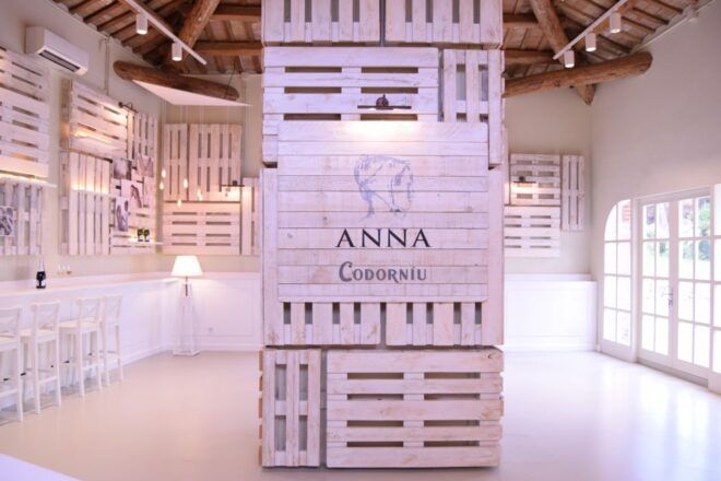 Barcelona: Caves Codorniu Winery Tour Based on Anna's Life - Inclusions