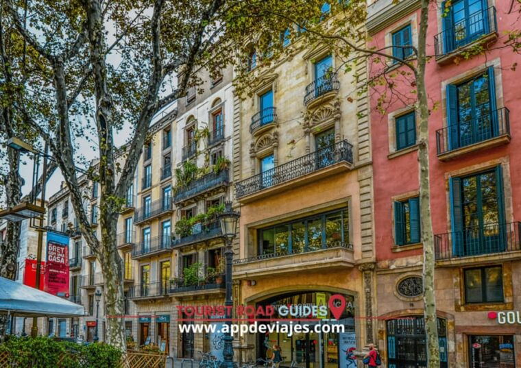 Barcelona: City Highlights Tour Private 4 Hours - Common Questions