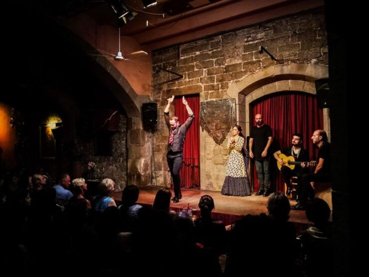 Barcelona: City Tour & Flamenco Show With Wine & Tapas - Experience Inclusions