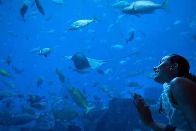 Barcelona City Tour Hop-On Hop-Off and Aquarium - Pricing and Booking