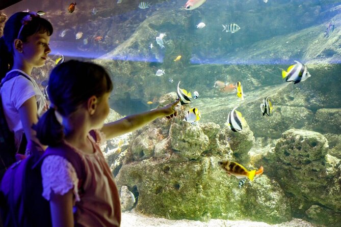 Barcelona City Tour Hop-On Hop-Off and Aquarium - Explore Barcelona at Your Own Pace