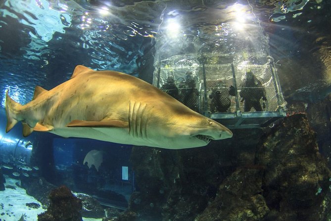 Barcelona City Tour Hop-On Hop-Off and Aquarium - Full Refund if Canceled 24 Hours in Advance