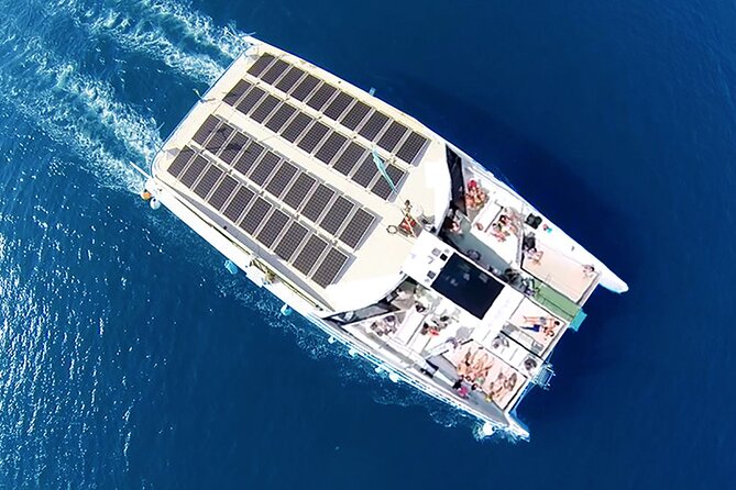 Barcelona City Tour Hop-On Hop-Off With Optional Catamaran - Experiences and Feedback