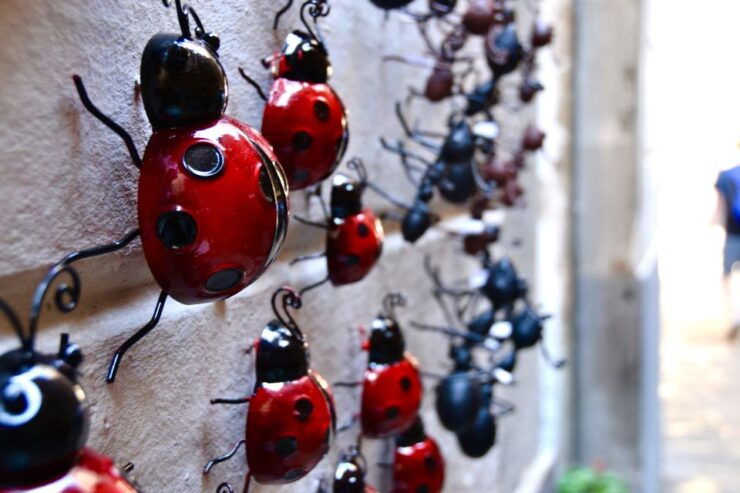 Barcelona: Ciutat Vella, a Self-Guided Secret City Game - Pricing and Duration