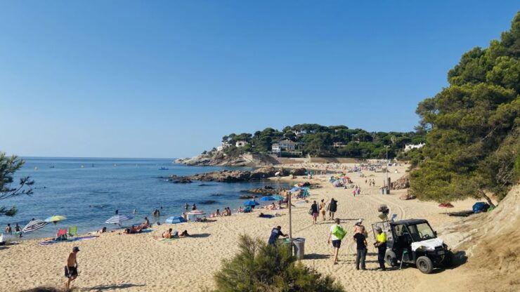 Barcelona: Costa Brava Hike, Snorkel & Cliff Jump With Lunch - Activity Highlights
