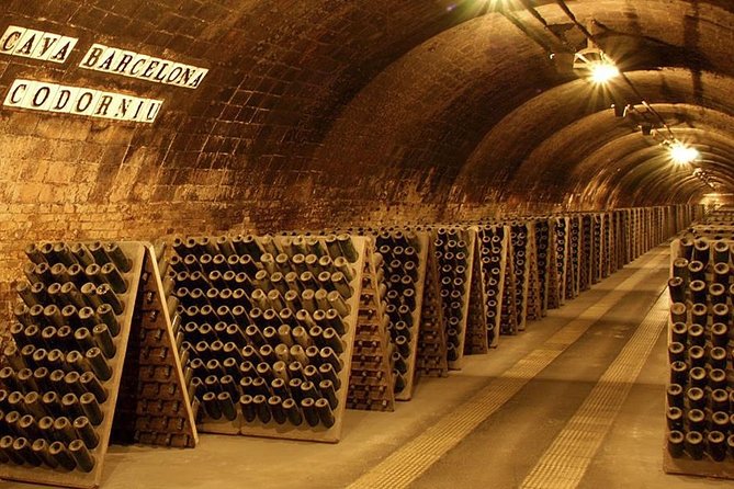 Barcelona Countryside Full Day Wine and Cava Tastings With Lunch - Pricing, Availability, and Terms and Conditions