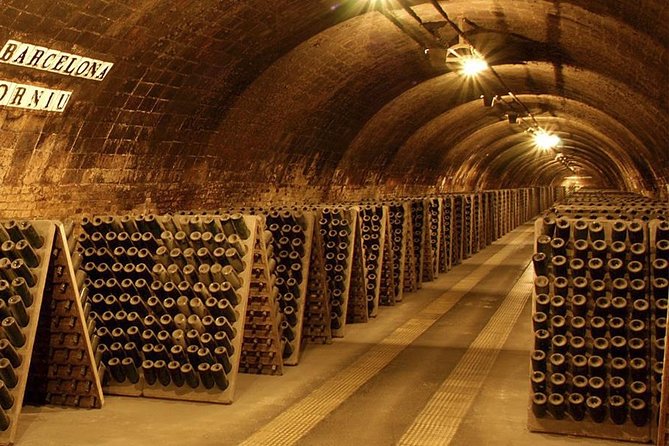 Barcelona Countryside Full Day Wine&Cava Tour With Lunch - Tour Details