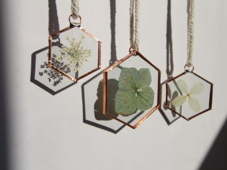 BARCELONA: Create Your Own Herbarium Workshop!! - Workshop Details