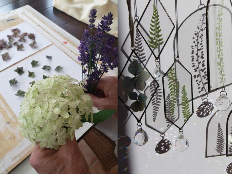 BARCELONA: Create Your Own Herbarium Workshop!! - Workshop Content