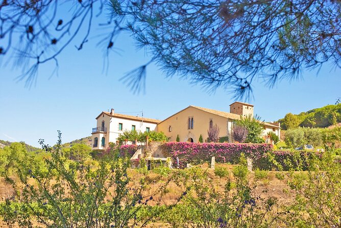 Barcelona Ebike Beach Route to the Vineyards With Wine Tasting & Picnic - Tour Details