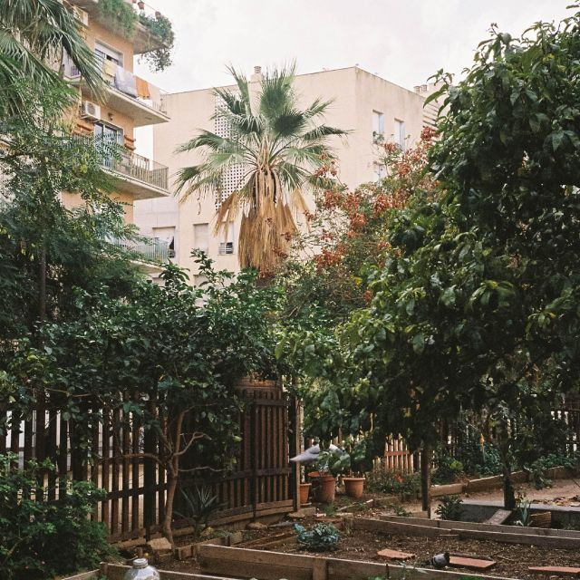 Barcelona EcoViva Tour - Lunch Included - Tour Details for Barcelona EcoViva Tour