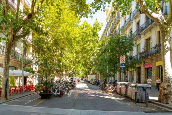 Barcelona El Born: Walking Tour With Audio Guide on App - The Sum Up