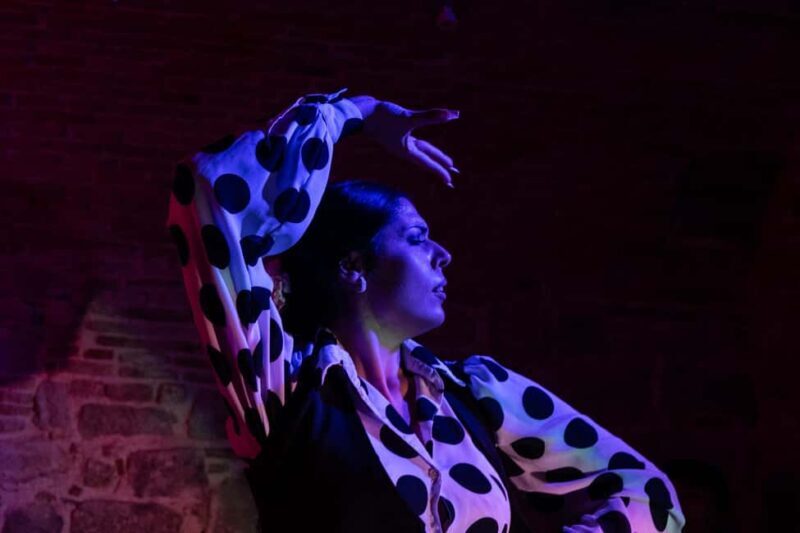 Barcelona: Espectáculo de FLAMENCO íntimo en Las Brujas Club - Final Thoughts