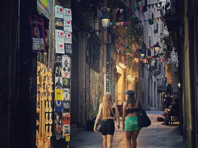 Barcelona: Evening Highlights Walk - Old Town & Gaudí Sights - Inclusions and Requirements