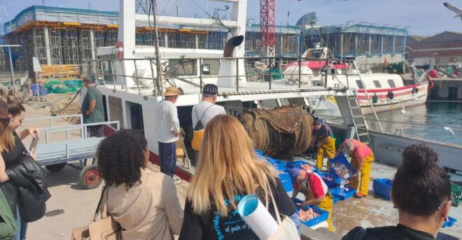 Barcelona Fishermens Guild Guided Tour - Group Size and Languages