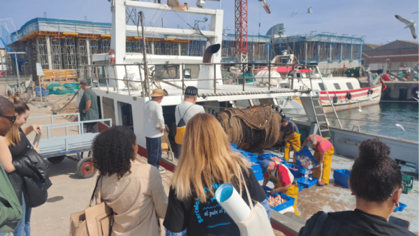 Barcelona Fishermens Guild Guided Tour - Important Information