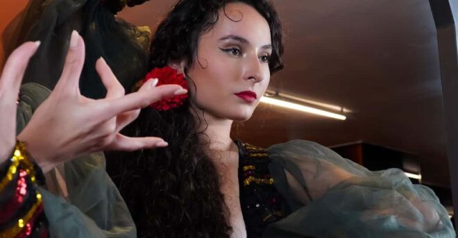 Barcelona: Flamenco Cabaret Dinner Show - Tips and Recommendations