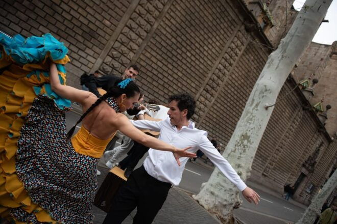 Barcelona: FLAMENCO Concert at the Emblematic Royal Academy - Accessibility and Mobility